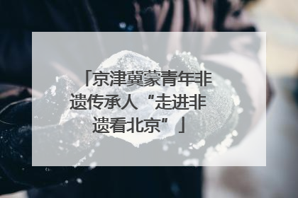 京津冀蒙青年非遗传承人“走进非遗看北京”