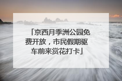 京西月季洲公园免费开放，市民假期驱车前来赏花打卡