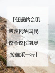 任振鹤会见博茨瓦纳国民议会议长凯奥拉佩采一行