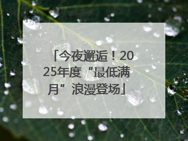 今夜邂逅！2025年度“最低满月”浪漫登场