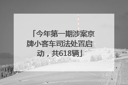 今年第一期涉案京牌小客车司法处置启动，共618辆