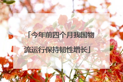 今年前四个月我国物流运行保持韧性增长