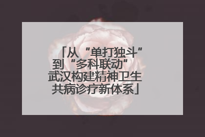 从“单打独斗”到“多科联动” 武汉构建精神卫生共病诊疗新体系