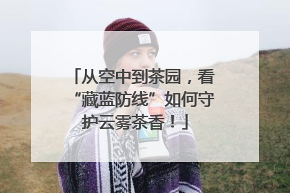 从空中到茶园，看“藏蓝防线”如何守护云雾茶香！