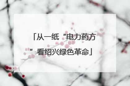 从一纸“电力药方”看绍兴绿色革命