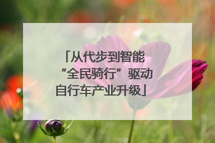 从代步到智能 “全民骑行”驱动自行车产业升级