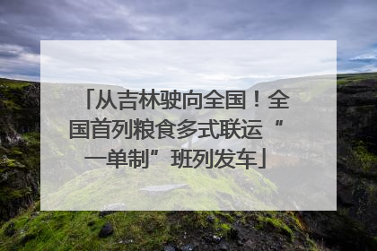 从吉林驶向全国！全国首列粮食多式联运“一单制”班列发车