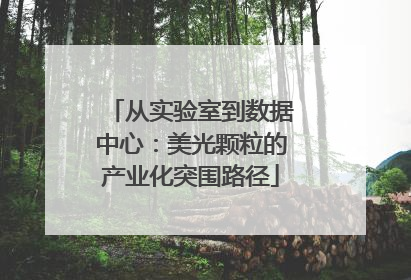 从实验室到数据中心：美光颗粒的产业化突围路径