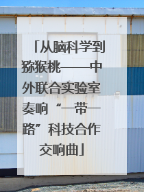 从脑科学到猕猴桃——中外联合实验室奏响“一带一路”科技合作交响曲