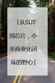 从SU7到芯片，小米商业化闭环的野心