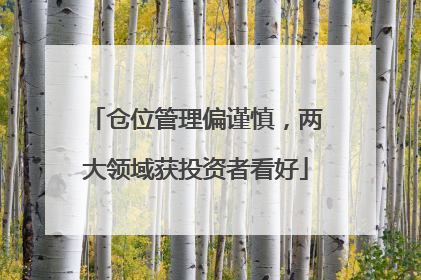 仓位管理偏谨慎，两大领域获投资者看好