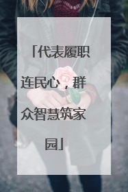 代表履职连民心，群众智慧筑家园