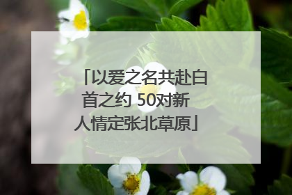 以爱之名共赴白首之约 50对新人情定张北草原