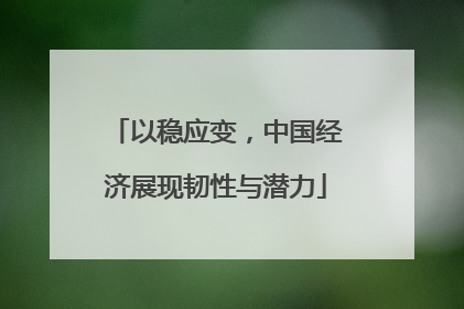 以稳应变，中国经济展现韧性与潜力