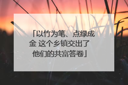 以竹为笔、点绿成金 这个乡镇交出了他们的共富答卷