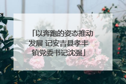以奔跑的姿态推动发展 记安吉县孝丰镇党委书记沈强
