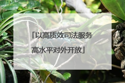 以高质效司法服务高水平对外开放