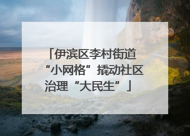 伊滨区李村街道 “小网格”撬动社区治理“大民生”