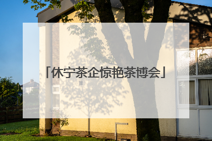 休宁茶企惊艳茶博会