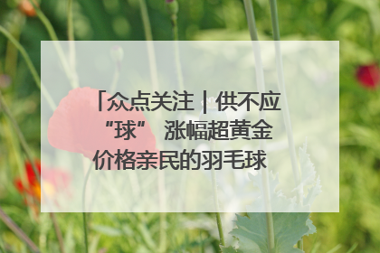 众点关注｜供不应“球” 涨幅超黄金 价格亲民的羽毛球为何身价飞涨？