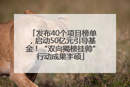 发布40个项目榜单，启动50亿元引导基金！“双向揭榜挂帅”行动成果丰硕