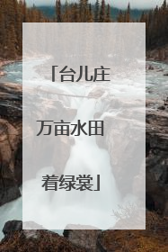 台儿庄万亩水田着绿裳