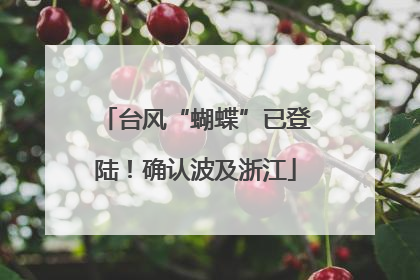 台风“蝴蝶”已登陆！确认波及浙江