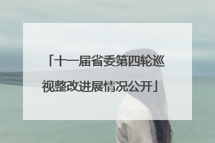 十一届省委第四轮巡视整改进展情况公开