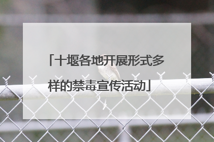 十堰各地开展形式多样的禁毒宣传活动