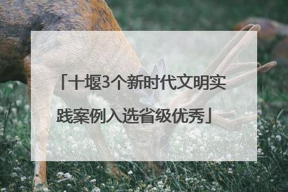 十堰3个新时代文明实践案例入选省级优秀