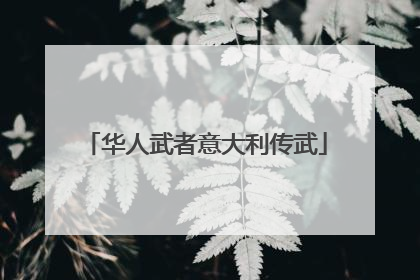 华人武者意大利传武