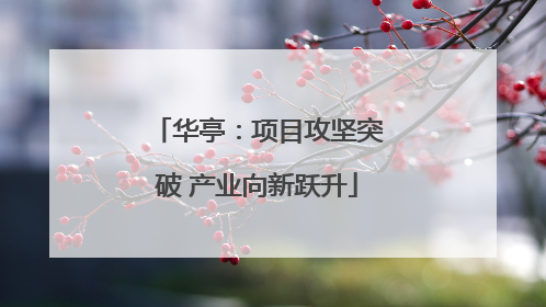 华亭：项目攻坚突破 产业向新跃升