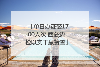 单日办证破1700人次 西藏边检以实干赢赞誉