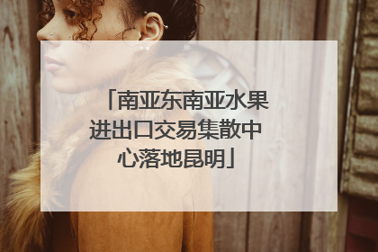 南亚东南亚水果进出口交易集散中心落地昆明