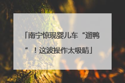 南宁惊现婴儿车“遛鸭”！这波操作太吸睛