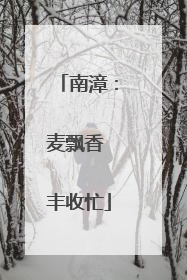 南漳：麦飘香 丰收忙