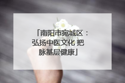 南阳市宛城区：弘扬中医文化 把脉基层健康