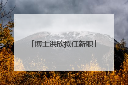 博士洪欣拟任新职