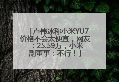 卢伟冰称小米YU7价格不会太便宜，网友：25.59万，小米副董事：不行！