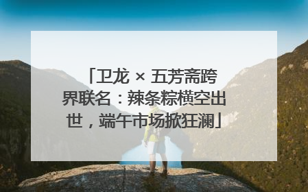 卫龙 × 五芳斋跨界联名：辣条粽横空出世，端午市场掀狂澜