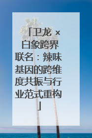 卫龙 × 白象跨界联名：辣味基因的跨维度共振与行业范式重构