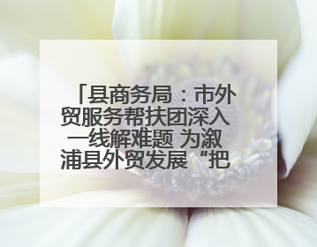 县商务局：市外贸服务帮扶团深入一线解难题 为溆浦县外贸发展“把脉问诊”