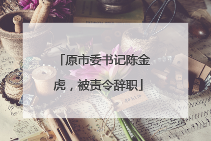 原市委书记陈金虎，被责令辞职