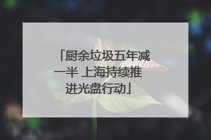 厨余垃圾五年减一半 上海持续推进光盘行动