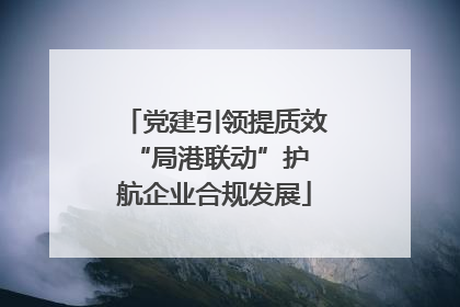 党建引领提质效 “局港联动”护航企业合规发展
