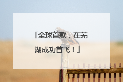全球首款，在芜湖成功首飞！