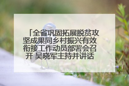 全省巩固拓展脱贫攻坚成果同乡村振兴有效衔接工作动员部署会召开 吴晓军主持并讲话 罗东川作安排部署