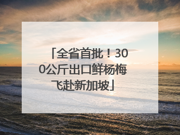 全省首批！300公斤出口鲜杨梅飞赴新加坡