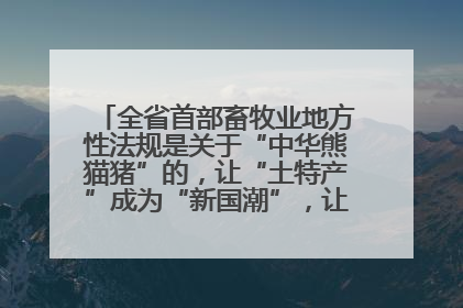 全省首部畜牧业地方性法规是关于“中华熊猫猪”的，让“土特产”成为“新国潮”，让“农产品”升格为“城市IP”