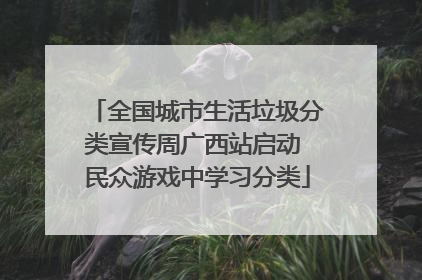 全国城市生活垃圾分类宣传周广西站启动 民众游戏中学习分类